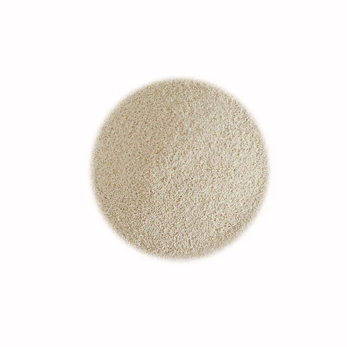 
Yeast saccharomyces cerevisiae 