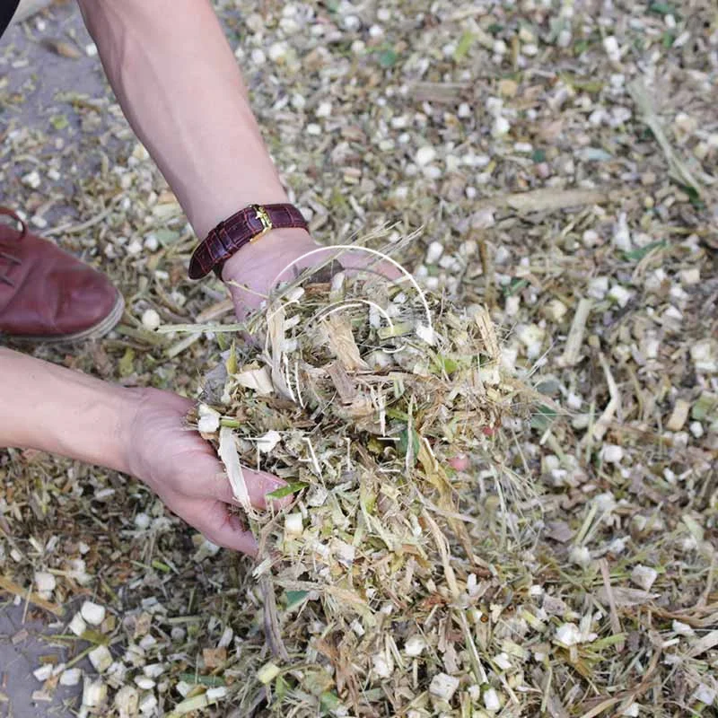 Agricultural Use chaff cutter in kenya animal feed gasoline engine chaff silage chopper