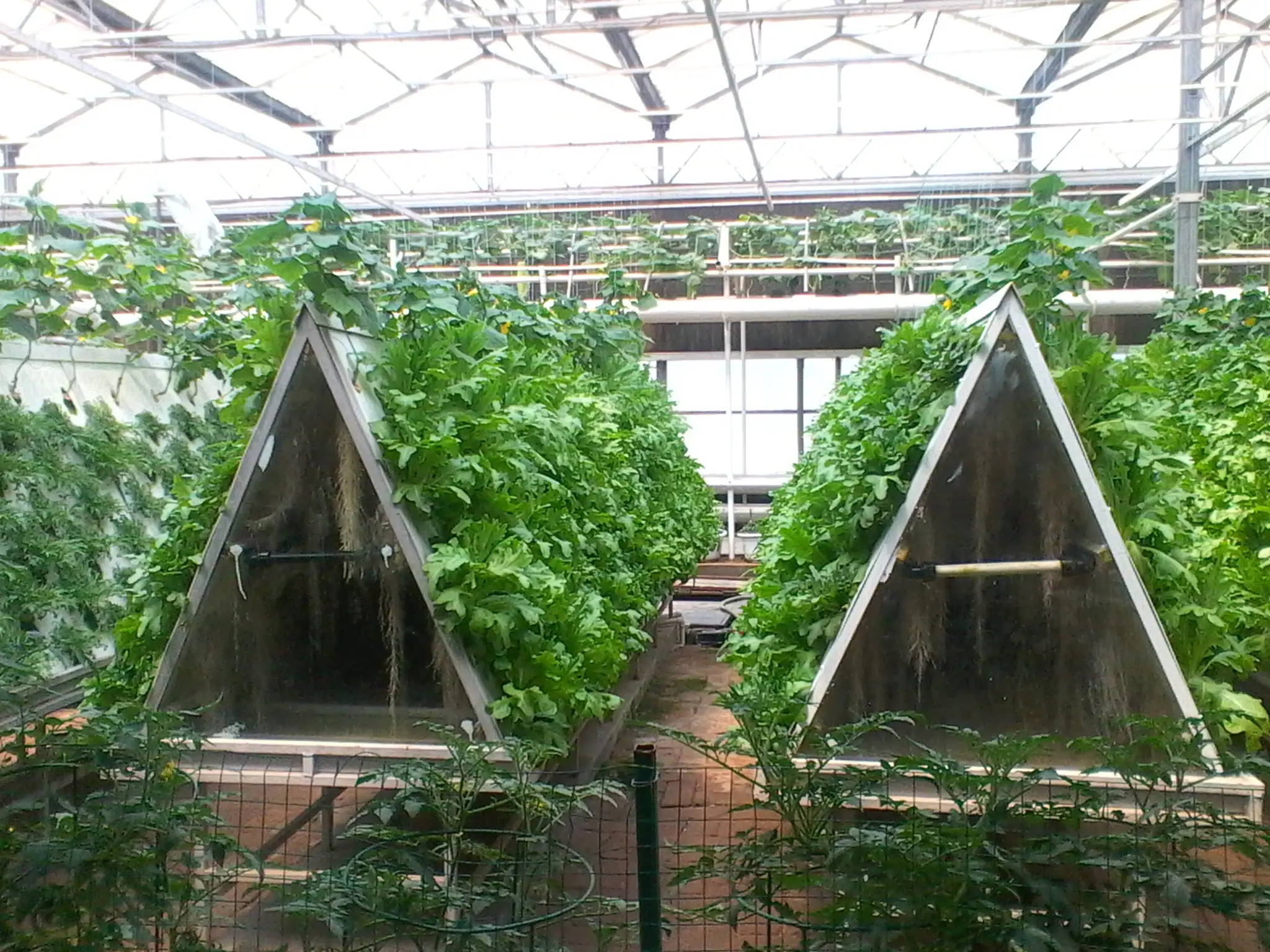 China Modern Agriculture Aeroponics Culture System for Vegetables/Fruits