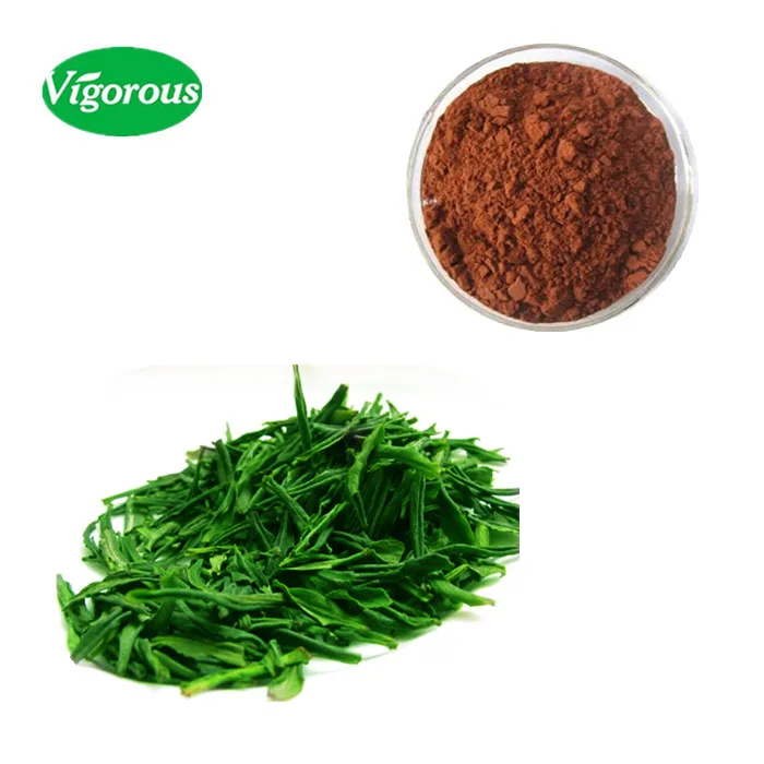 100% pure green tea extract/green tea extract bulk/decaffeinated green tea extract