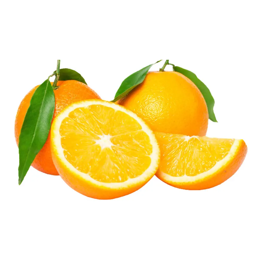 Good price fresh oranges navel orange for fresh squeezed orange