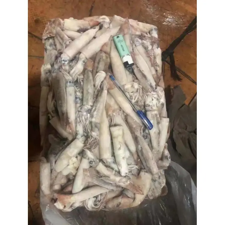 
New Season Promotional Hot Sell Frozen Whole Round Dried Jigs Fishinig Water Squid for Hotel 