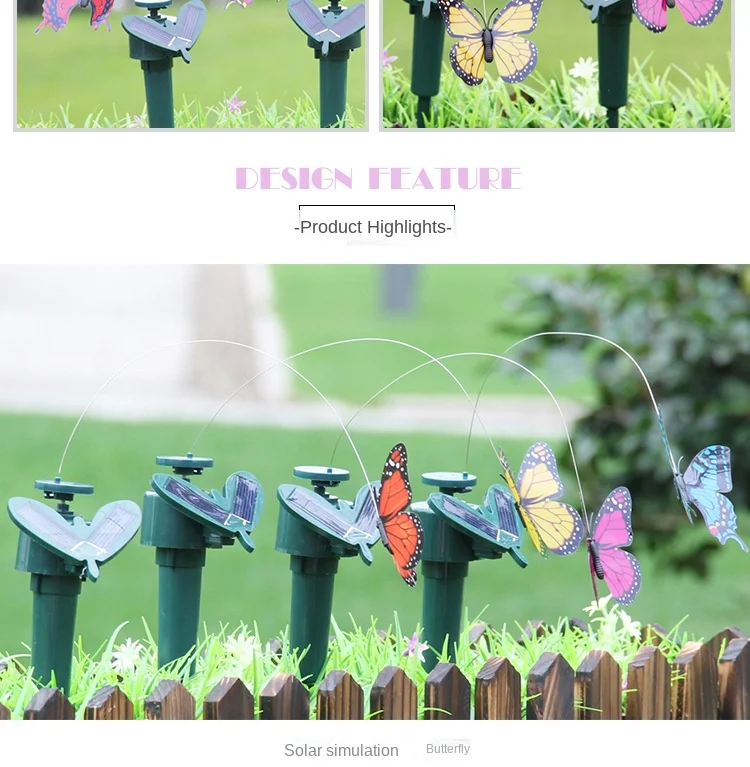 Butterfly details page_07