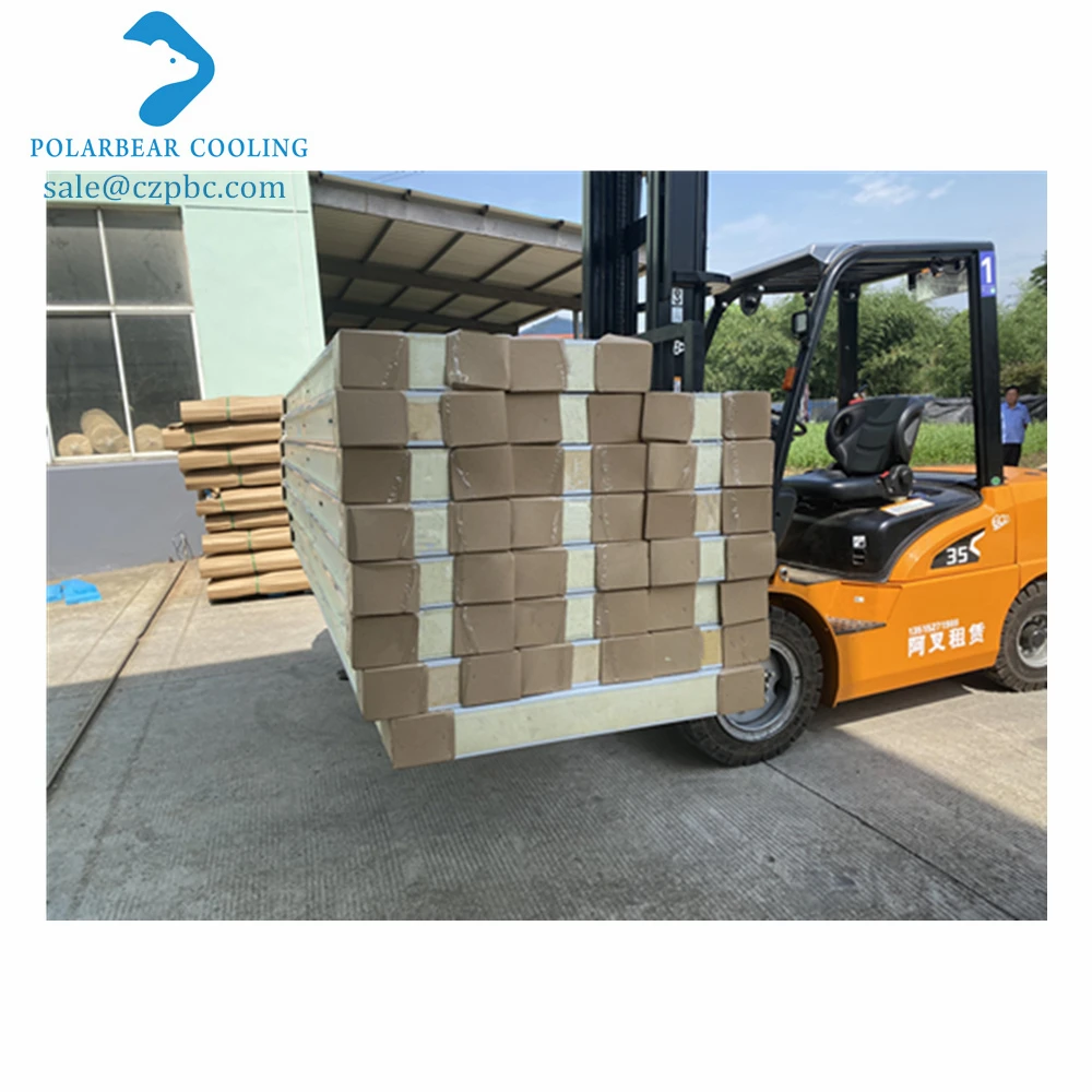 China Price Cold Room Sandwich Panel, 100MM Cold Room Camlock Pu Panel