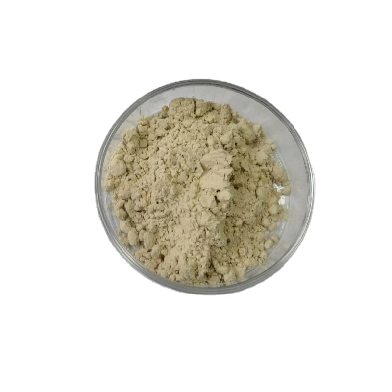 China  Factory Supply High quality Ginsenosides RE 98%  Ginseng Extract Powder  From Stems and Leaves