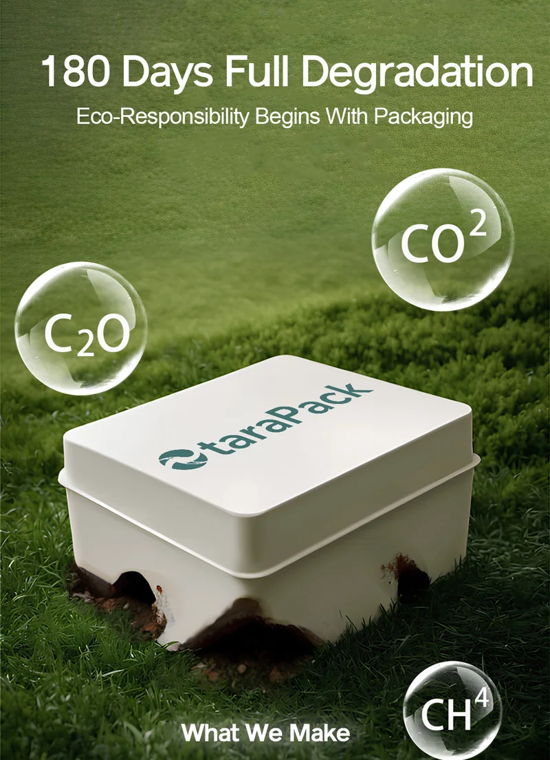 Custom Color 6cm 8cm 12cm Solid Perfume Packaging Sugar Cane Bamboo Fiber Disposable Packed Paper Box