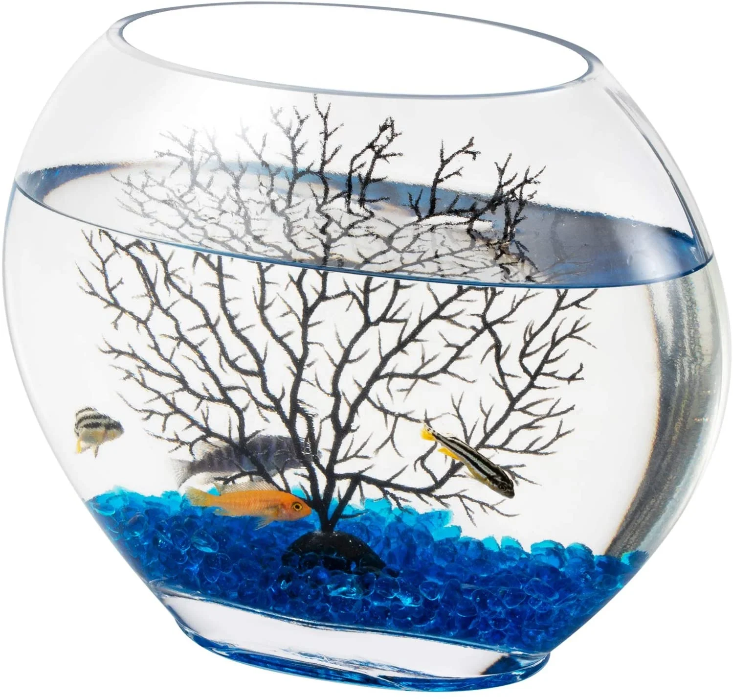 Mini Glass Oblate Fish Bowl Kit Novel & Unique Decoration Crystal Clear Tank Comes with Blue Aquarium Decor Stones and Tree