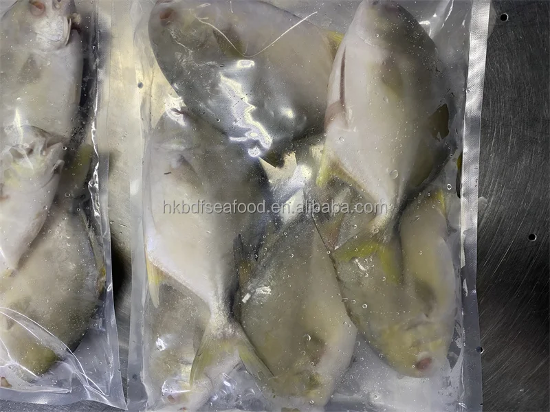 China farming Frozen Golden pompano/pomfret Whole Round