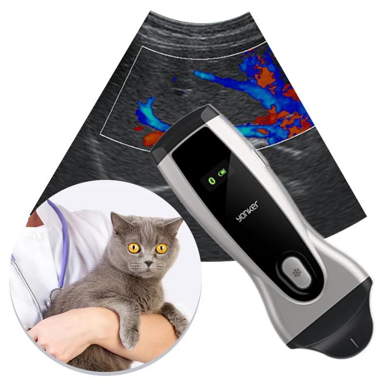 USB wireless wifi mini handheld scanner pet animal monitor probe portable Vet ultrasound machine for veterinary use