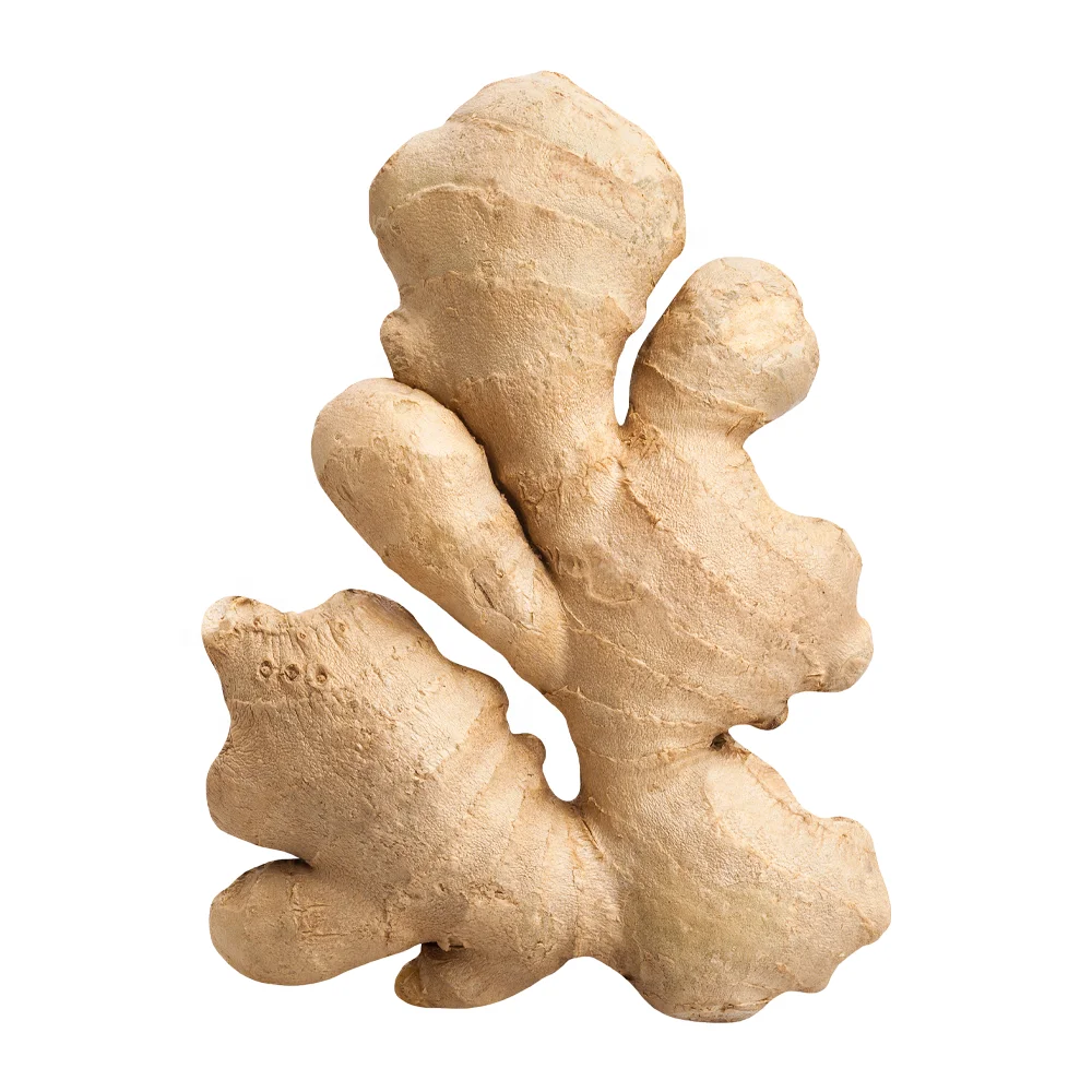 Best Spice Ginger Fresh Origin China Export Standard Organic Ginger Wholesale New Crop Conventional Ginger Fresh