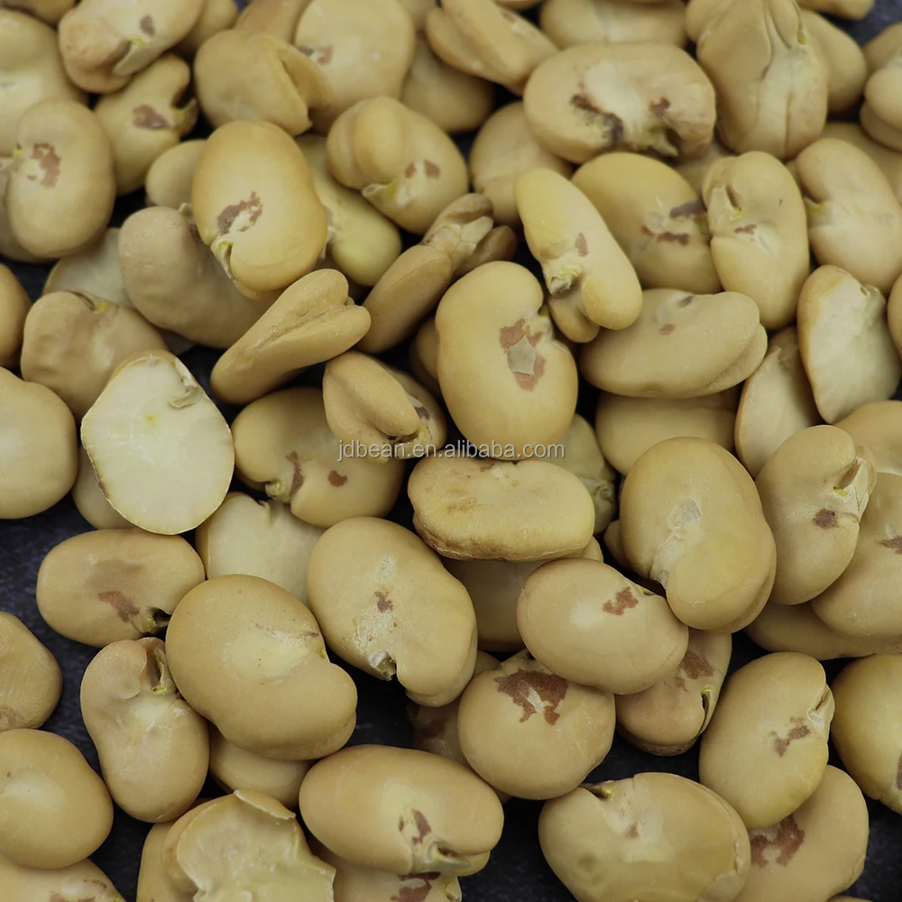 Raw Dried Double Peeled Broad Beans Fava Beans Price