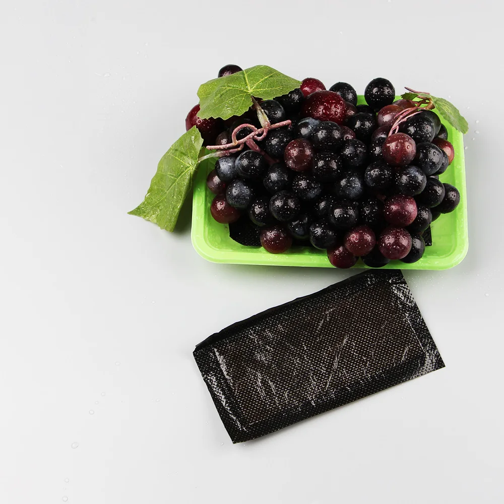 Water Absorbing Absorb Meat Tray Fruit Absorbent Pads
