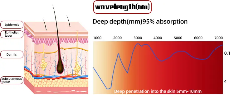 red light panel 1 (2).jpg