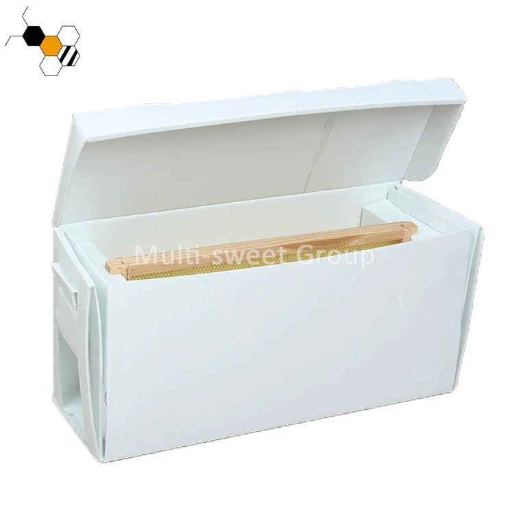 Polypropylene cardboard bee box 5 frames plastic nuc box suitable for dadant frame
