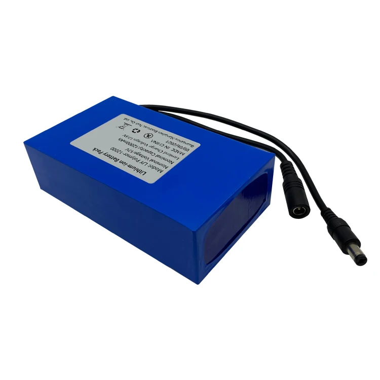Batterie Lithium 12v 12AH Recargable Best Price  Battery 12V12000mAH Customized for Various Models