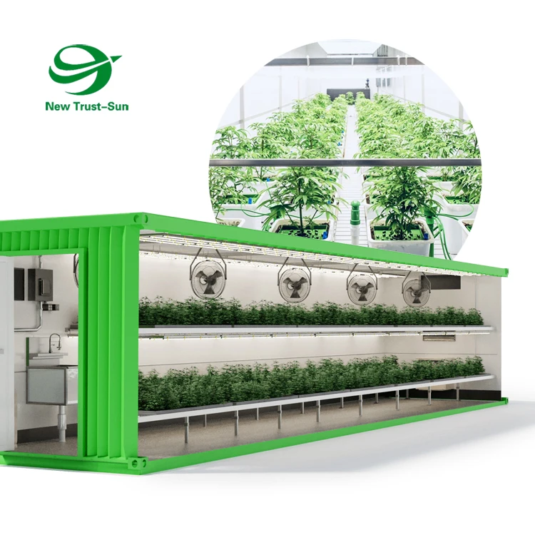 
smart vertical farming greenhouse factory lettuce microgreens hydroponic grow shipping container farm 