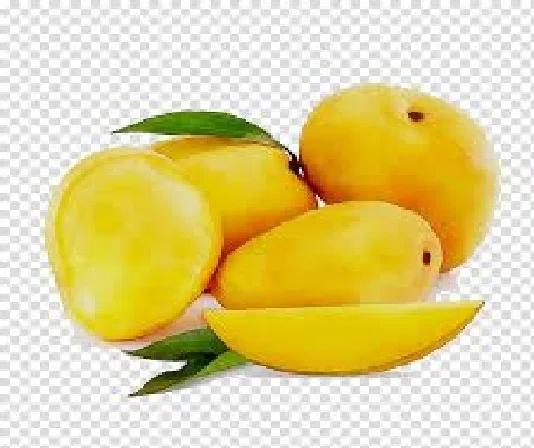 
Totapuri Mango Pulp Concentrate 