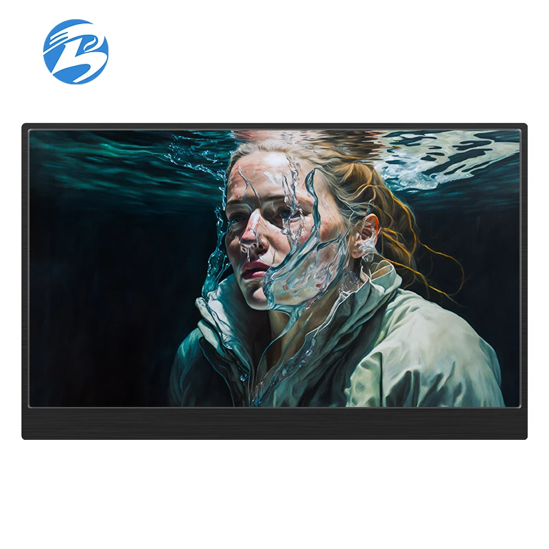 Ultra-thin 17.3 inch Full HD 1K IPS 1080P HDR 10 VESA portable monitor with Type-C Mini HDMI for laptop