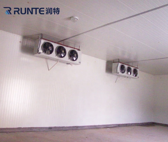 Pu Panel Fruit Chicken Meat Eggs Seafood Restaurant Supermarket Cold Room Manufacturer