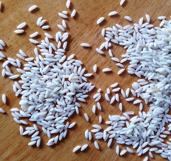 Sona masoori steam rice