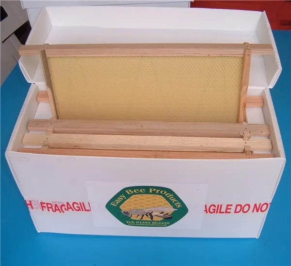 Langstroth PP Correx Plastic Bee Hives For 5 Frames Corrugated Plastic Beehives for Bees