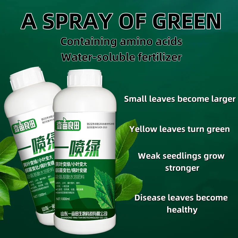 A spray of green, yellow, withered leaves turning green