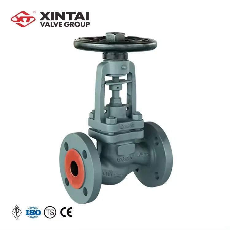 J41H-16P DN25 PN16 Custom Ductile Iron Cast Iron DIN S Pattern Flanged Bellows Seal Globe Valve