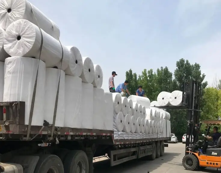 Factory Wholesale Different Colors Spunbond PP Non Woven Fabric Rolls for Medical Hospital Face Mask