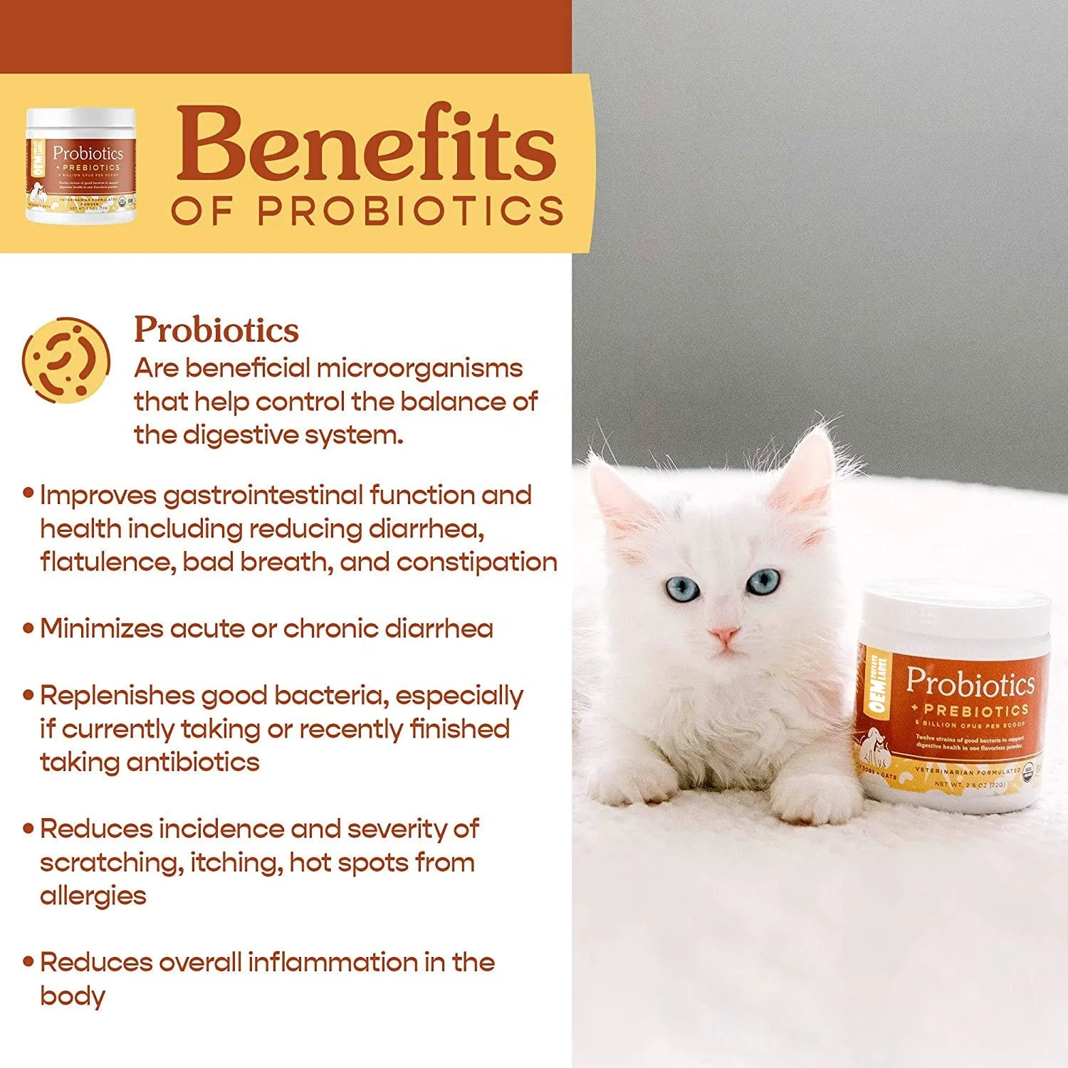 Private label Probiotics for Dogs and supplement and vitamin Advanced Max-Strength Vet Formulated All Natural Probiotics Powder