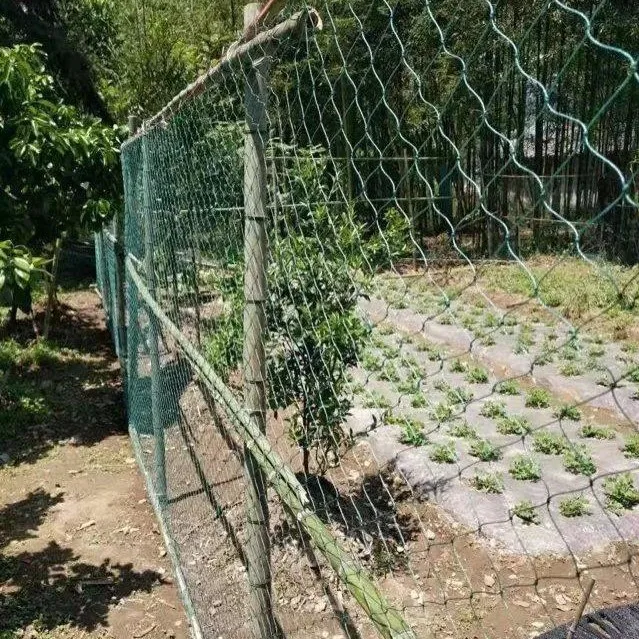 Agro plastic net anti-bird net garden bird netting wholesale garden new nylon anti bird netting