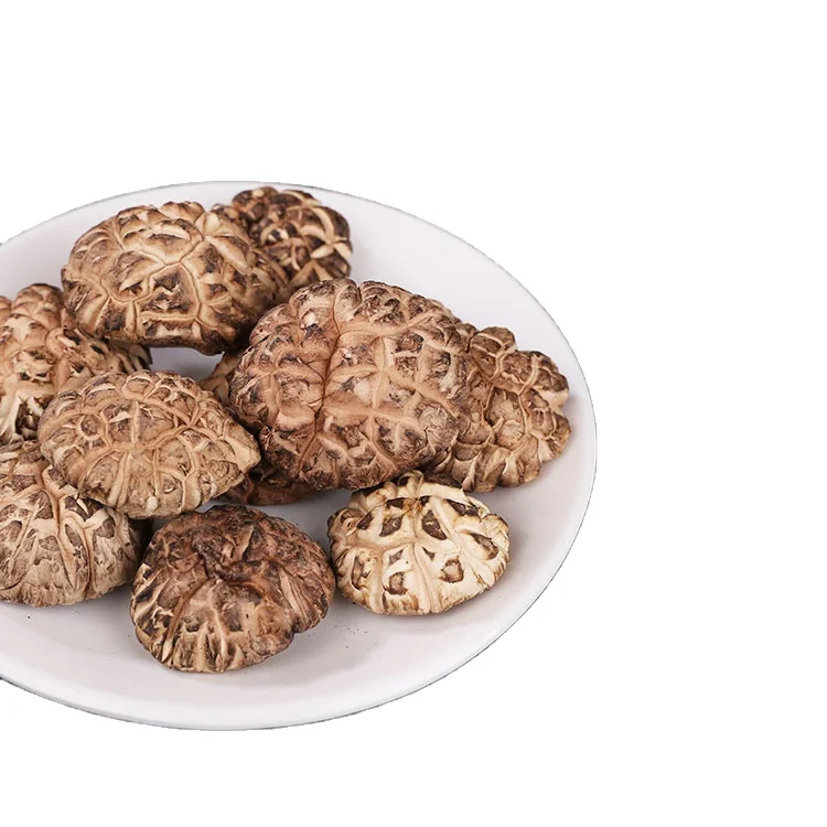 
High Quality Dried Flower Shiitake Mushroom with Green Food Certificate 