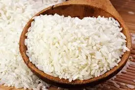 
1121 basmati rice india gate 