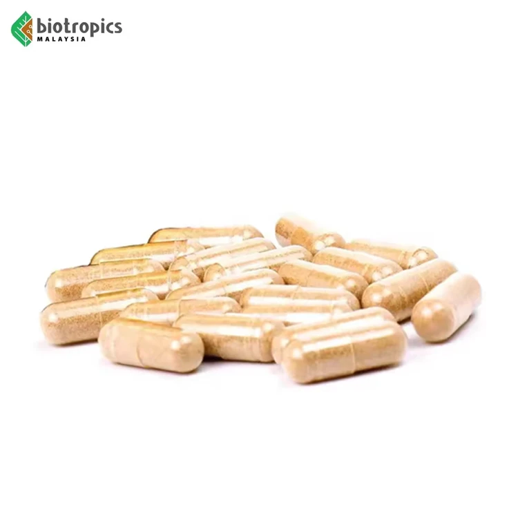 OEM Food Grade Tongkat Ali Capsules Dietary Supplement Tongkat Ali and Epimedium Capsules