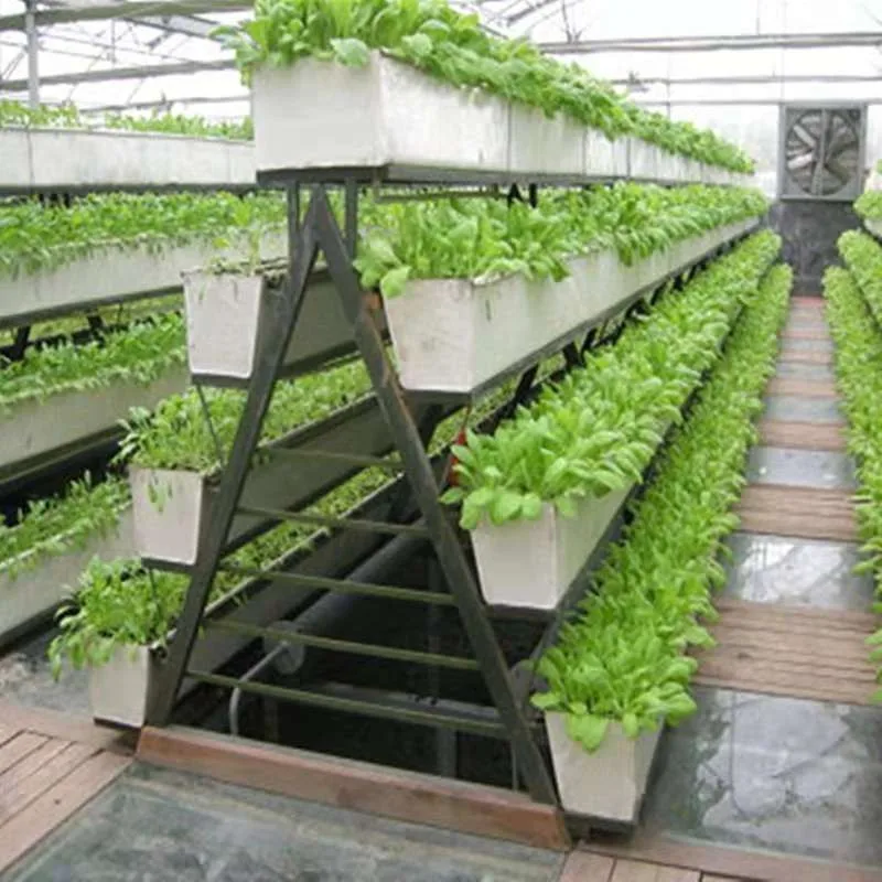 Hydroponic Growing Systems Polytunnels Hydroponic Gutter