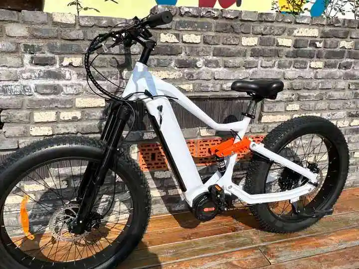 2025 mid drive full suspension ebike 1000w mid drive with fat tire
