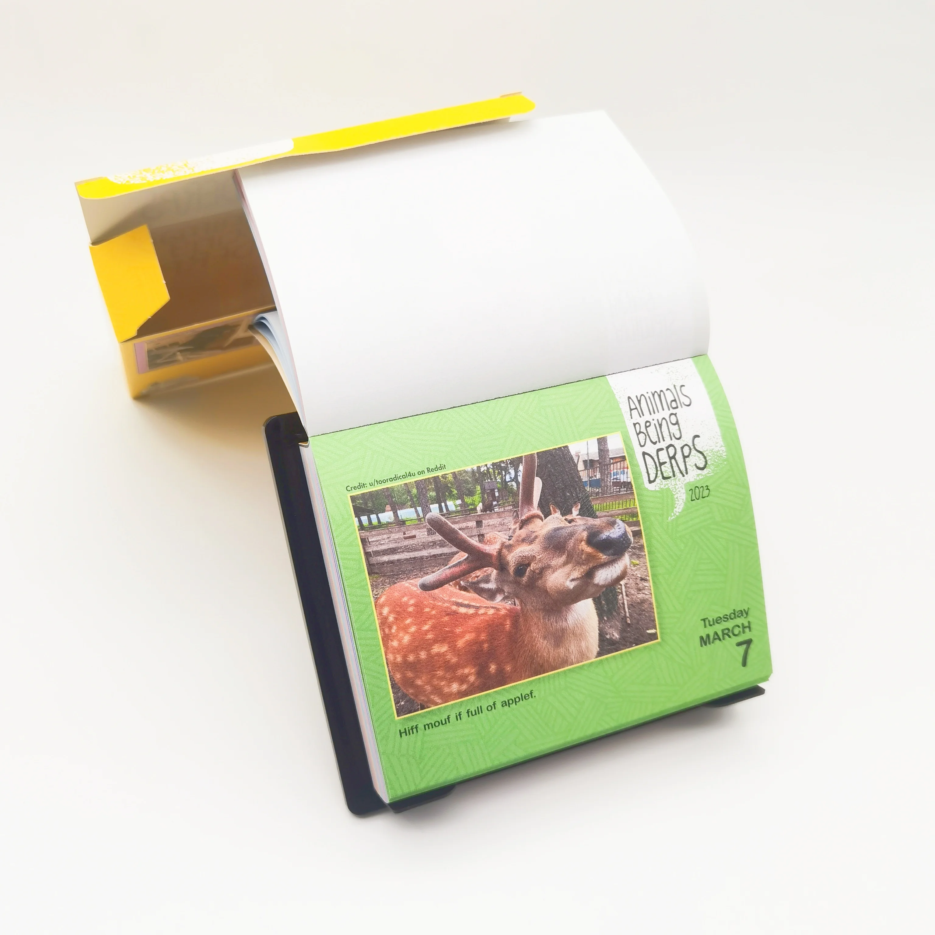 365 days Mood Cost-effective Various Paper Types Binding Custom Calendar With Stadand Printing On Demand