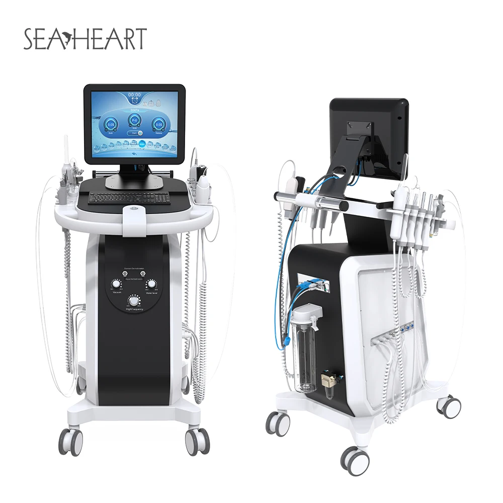 2024 new arrival style Skin Care Hydro Microdermabrasion Machine for face