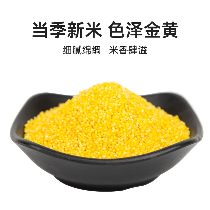 China best price Wholesale exporting grade millet seed yellow millet for sale