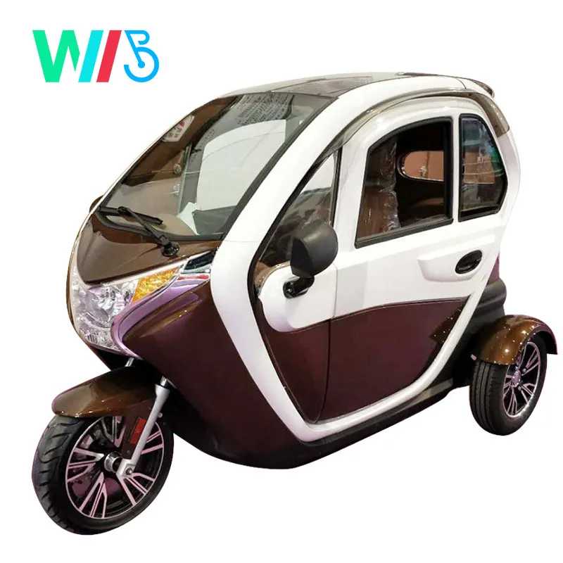 3 Wheel Solor Panel Electric Car/Auto Rickshaw Price 3 Wheel Car for Sale