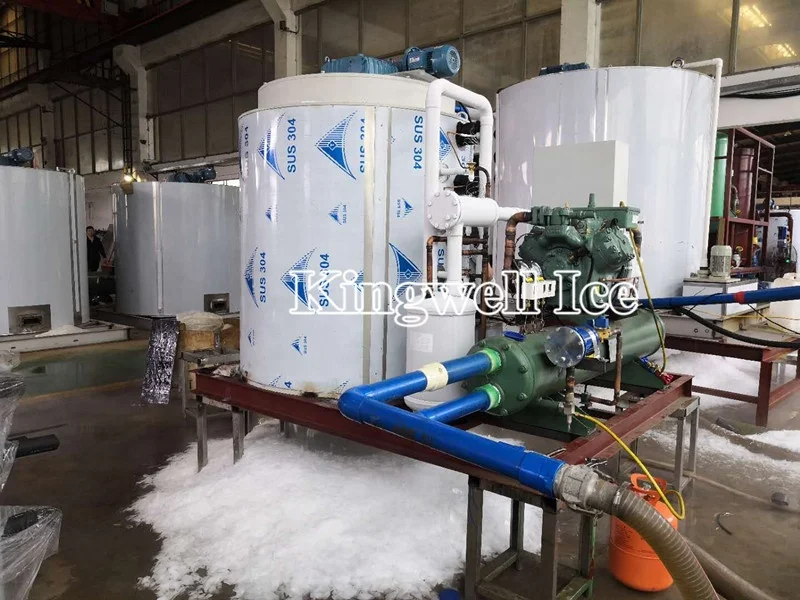 5 тонн, 10 тонн, сертификация CE, промышленная машина для производства льда, цена на продажу на рынке Африки