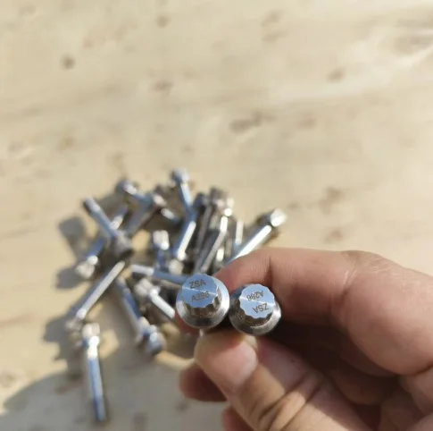 Experienced Supplier of 12 Point Screw