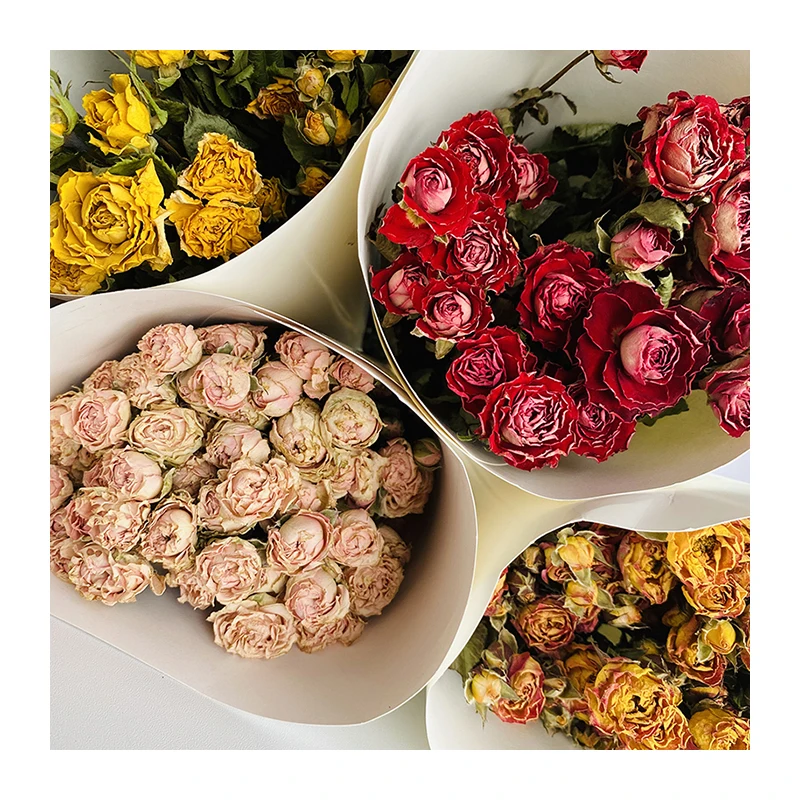 Ins Hot Selling Natural Touch Roses Wholesale Dried Flower Dried Rose Bouquets For Decoration
