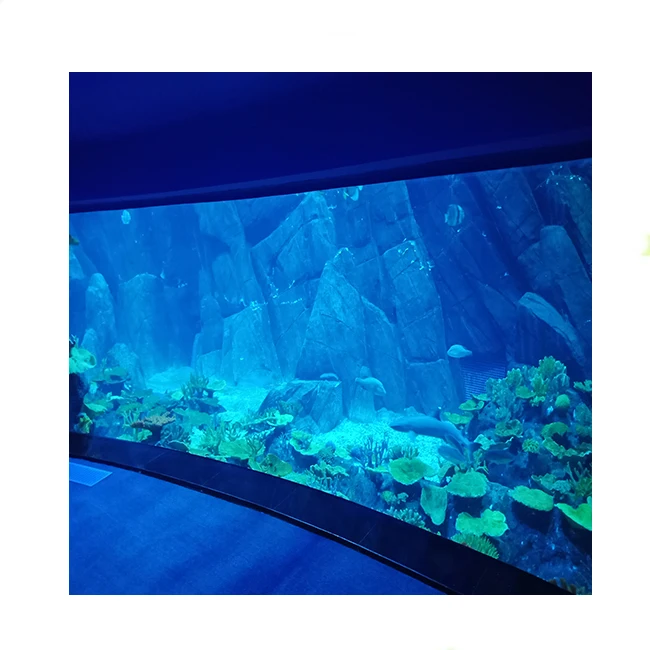 fish tank aquarium all in one