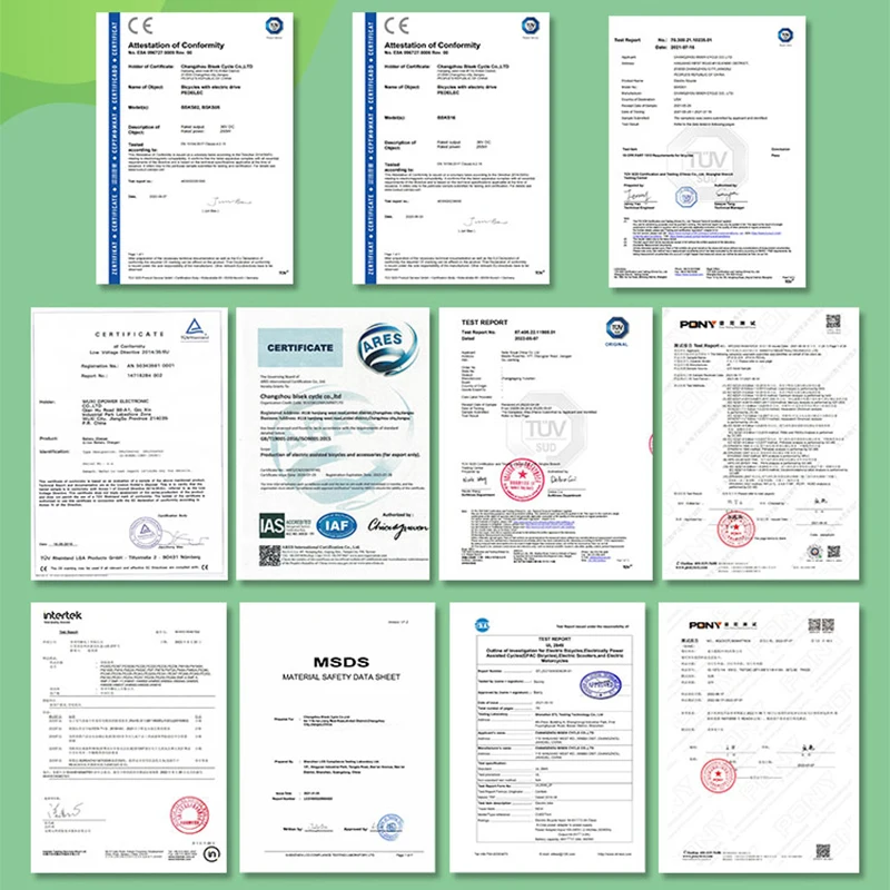 Oem 36v 48v 250w 500w 750w Electric Cargo Bike Bicycle Ebike Double Lithium Batteries Fat Tire For Kids Suspension Fork