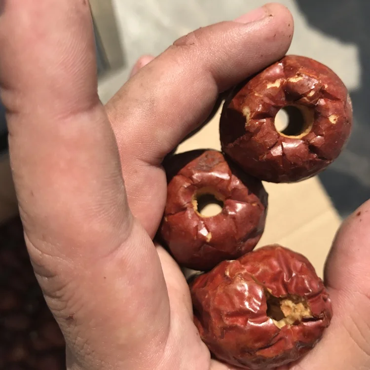 
Dates seeds pitting removing machine 