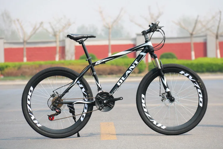 Variable speed bicycle for travel in 2020