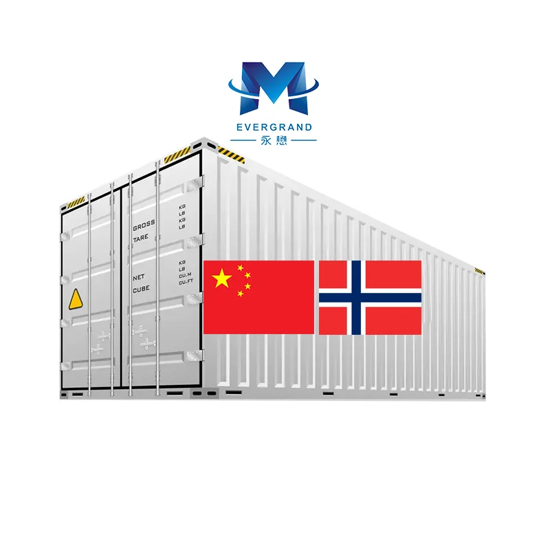 40FT/40HQ FCL Sea shipping freight agent from China to Oslo Norway Logistics service