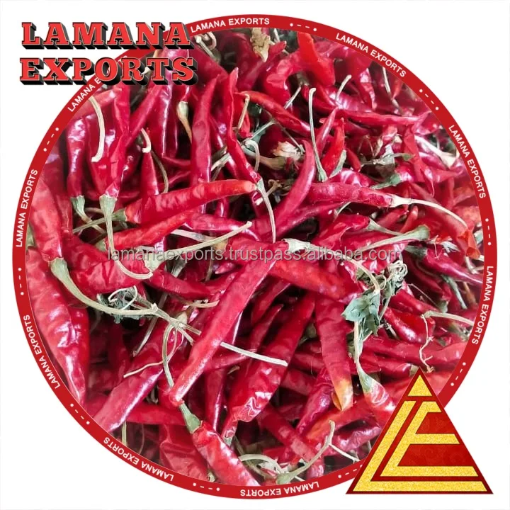 Guntur Dry Red Chilli S17 Teja with Stem Indian Chilli Premium Quality for Thailand