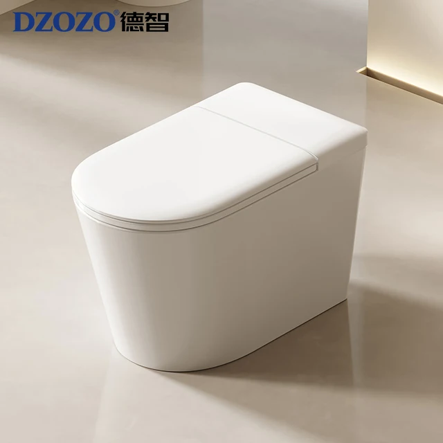 S008 Automatic Intelligent Smart Toilet Bathroom 110v/220v Electric One Piece Bidet Toilet with Remote Control