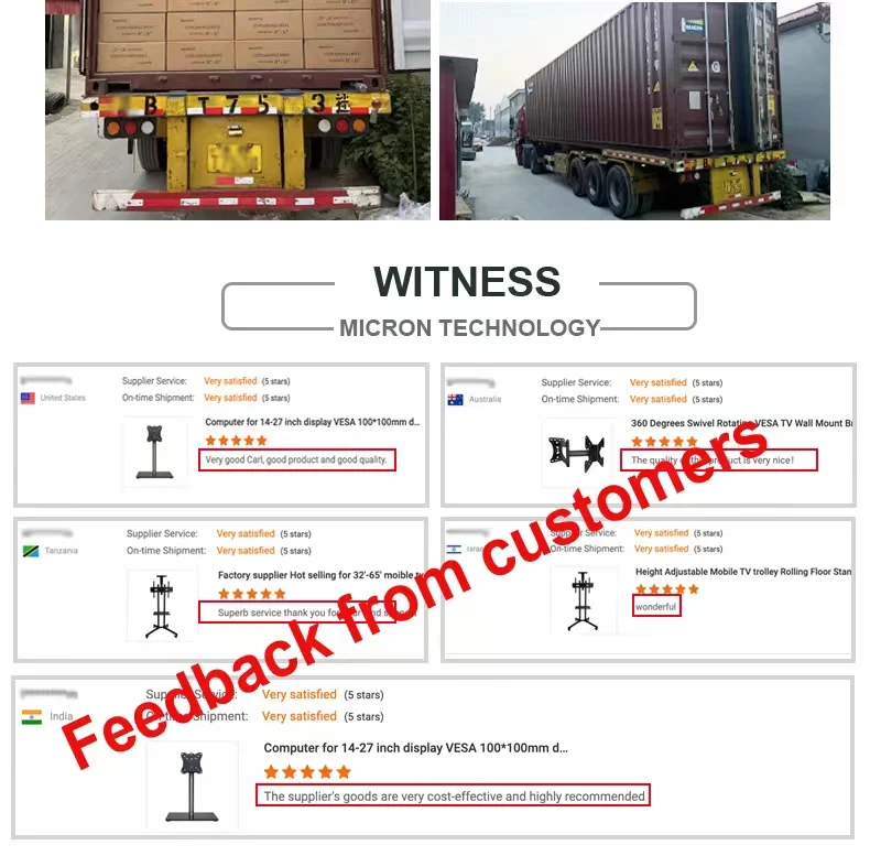 Gas Spring Monitor Arm